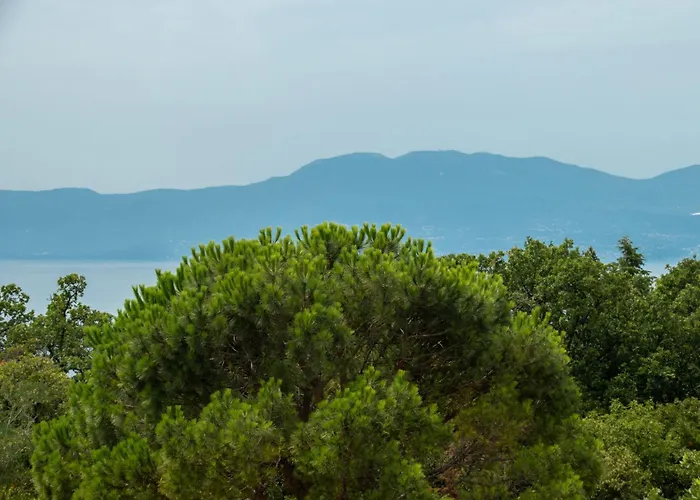 Oliva 2 By Interhome *